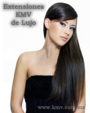 Extensiones Café Castaño Oscuro